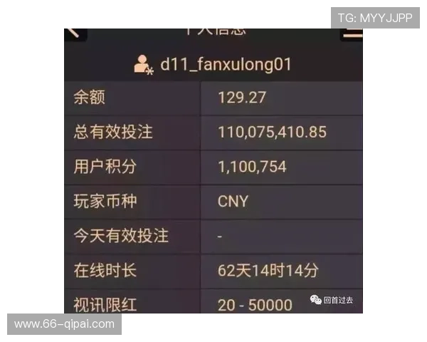 AG百家乐的投注方式及其影响因素探讨